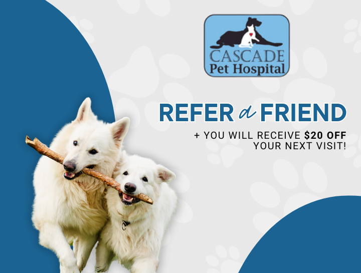 Refer a Friend